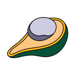 avocado hand drawn color vector illustration