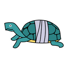 injured tortoise shell carapace hand drawn color vector illustration