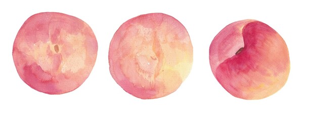 Watercolor illustration of cute peach. Fresh and colorful fruit.