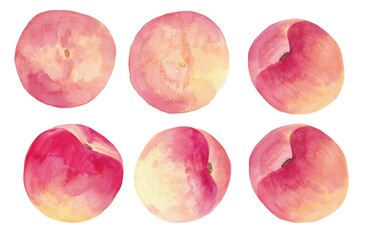 peaches isolated on white background