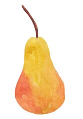 Watercolor Illustration of whole pear isolated on white background - hand drawn 