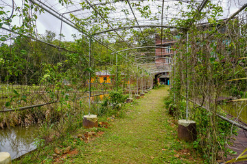 beautiful entrance gate to restaurant