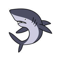 shark hand drawn color vector illustration