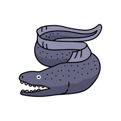 moray eel hand drawn color vector illustration