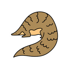 pangolin hand drawn color vector illustration
