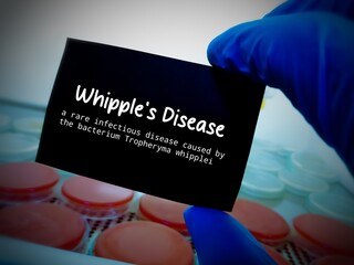 Whipple's disease-rare bacterial infection by Tropheryma whipplei. Healthcare or Medical conceptual...