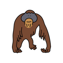 orangutan hand drawn color vector illustration © puruan