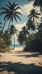 Obraz premium Palm-lined tropical ocean beach with vintage film tones and distressed flare effects