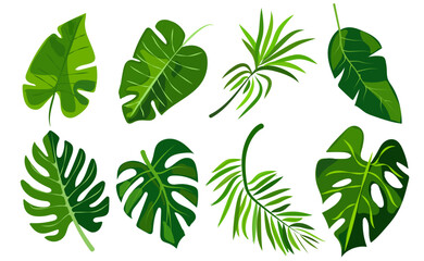 features eight different types of green leaves, each with distinct shapes and vein patterns. diverse foliage showcases various botanical designs, ideal for nature-related graphics and design projects