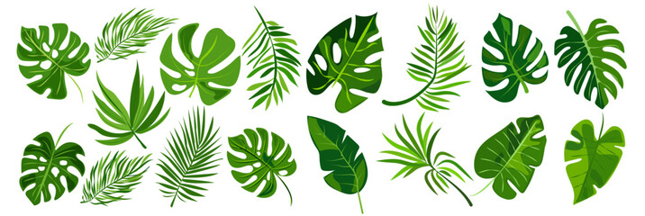 features eight different types of green leaves, each with distinct shapes and vein patterns. diverse foliage showcases various botanical designs, ideal for nature-related graphics and design projects
