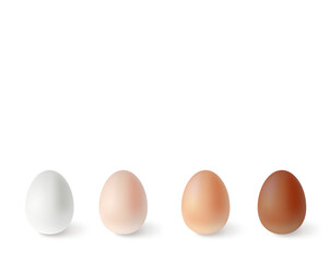 Set of realistic chicken eggs. Vector illustration isolated on white background