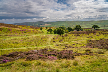Walking the Pilgrims Way in North Wales Uk