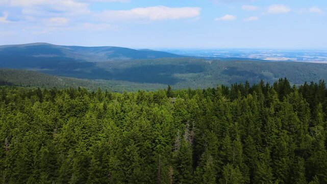 mountains forest Flight over Drone coniferous trees Bavaria Germany