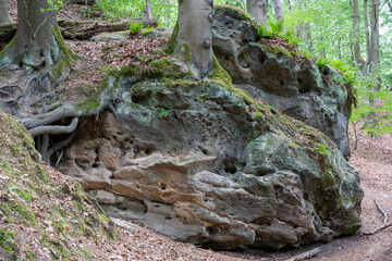 A large rock with moss growing on it. The moss is green and brown
