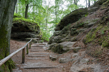 A path with a wooden fence and a stone wall. The path is surrounded by trees and rocks