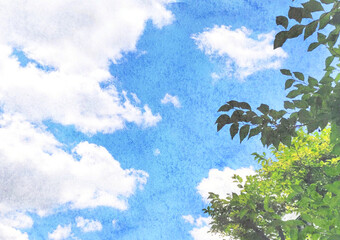 水彩風の夏らしい木々と空の風景写真