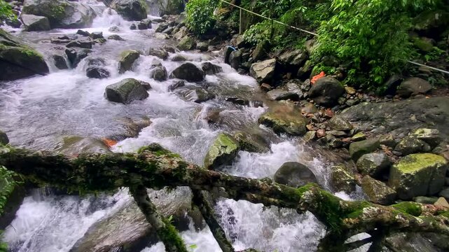Double decker living root bridge  in nongriat village in cherrapunjee meghalaya India. This bridge is formed by training tree roots over years to knit together.