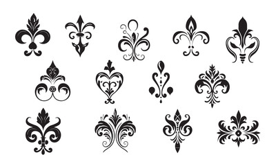 Luxury black Flower border white background