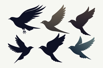 A set of bird in flight vector artwork illustration