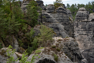 A rocky mountain with a tree growing on it. The tree is small and green