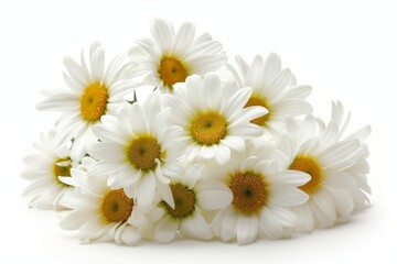 A bunch of white daisies are arranged in a pile. The flowers are fresh and vibrant, and they give off a sense of happiness and positivity. The arrangement is simple yet elegant