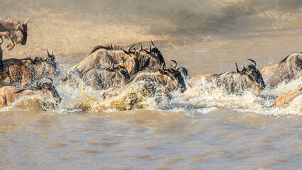 Crossing Mara River