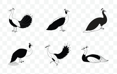 Print Peafowl Line Art Vector Set with Detailed Illustrations for Artistic and Design Projects