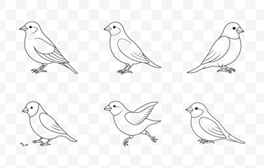 Print Comprehensive Finch Line Art Vector Set Illustrations for Artists and Designers