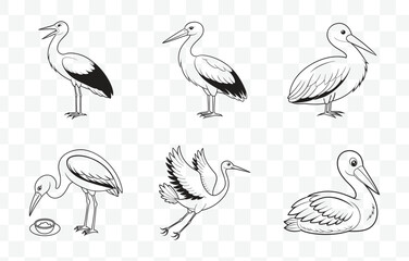 Obraz premium Print Elegant Stork Line Art Vector Collection Perfect for Artistic Designs Illustrations and Graphic Projects