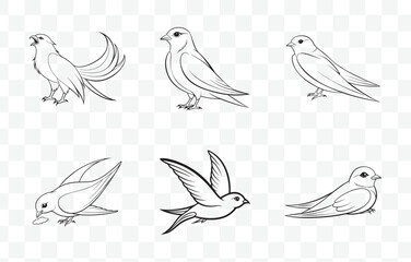 Print Elegant Swift Bird Line Art Vector Set Collection of Detailed Swift Illustrations