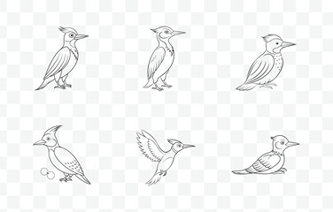 Print Elegant Woodpecker Line Art Vector Set Featuring Detailed Illustrations and Stunning Designs