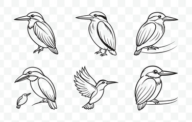 Print Comprehensive Kingfisher Line Art Vector Set Perfect for Artistic and Professional Use