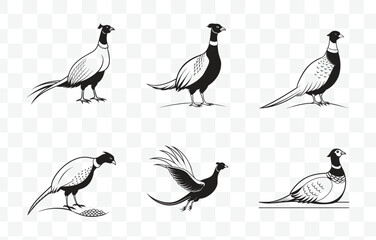 Print Intricate Pheasant Line Art Vector Set for Detailed and Artistic Illustrations