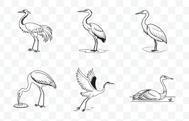 Print Elegant Crane Line Art Vector Collection for Designers and Illustrators Up to 100 Elements Included
