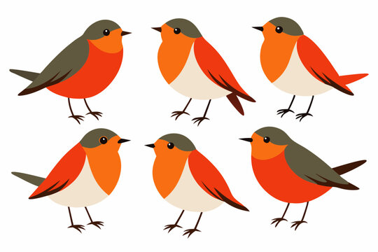 A set of bird robin with different poses vector art illustration