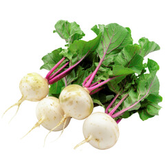 radish transparent, cut out