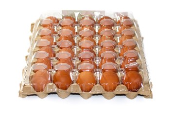 Eggs full tray put on white background with concept isolated style.