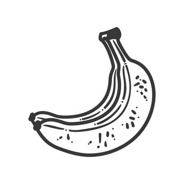 recommend clip art: banana minimalist line art icon logo symbol black color only