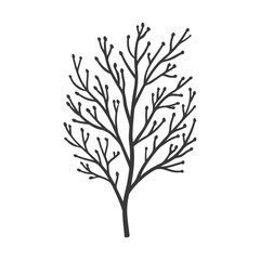 Fototapeta premium branches minimalist line art icon logo symbol black color only