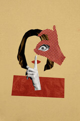 Vertical photo collage of faceless anonym girl hold index finger shh concept okay gesture wide okay...