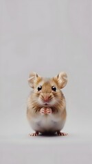 Cute Mouse Portrait Against Plain White Background
