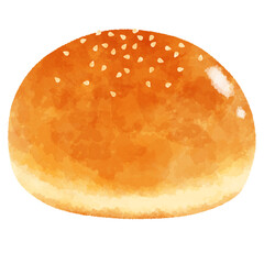 アメリカのパンのイラスト　Hamburger Buns（ハンバーガーバンズ）