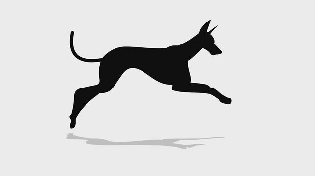 Dog running video animation