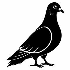 Pigeon Black silhouette