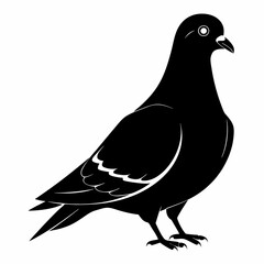 Pigeon Black silhouette