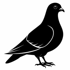 Pigeon Black silhouette