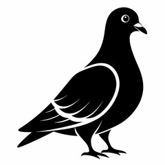 Pigeon Black silhouette