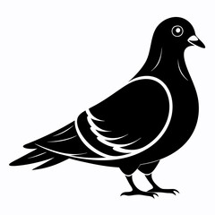 Pigeon Black silhouette