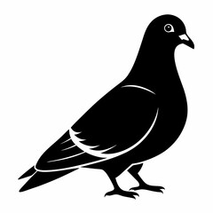 Pigeon Black silhouette