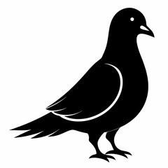 Pigeon Black silhouette